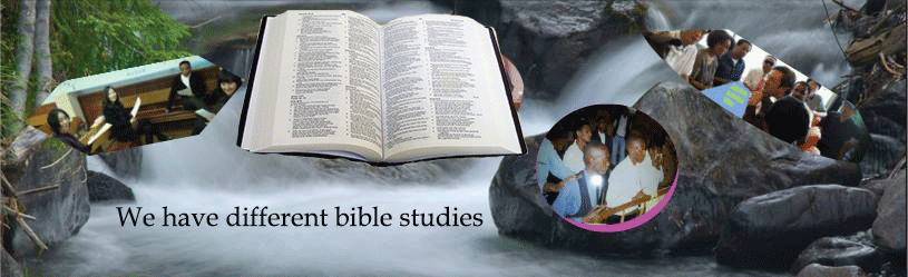 bible studies